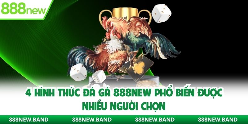 4 hình thức đá gà 888new phổ biến được nhiều người chọn