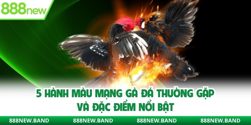 5 hành màu mạng gà đá thường gặp tại 888new và đặc điểm nổi bật