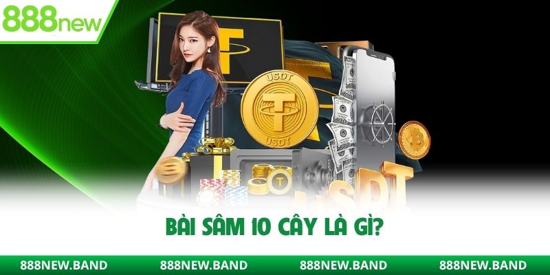Bài sâm 10 cây là gì?