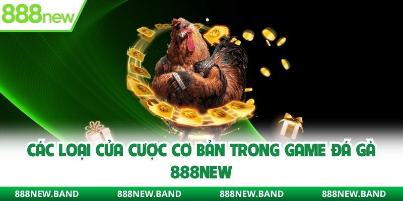 Các loại cửa cược cơ bản trong game đá gà 888new