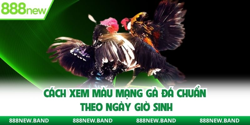 Cách xem màu mạng gà đá chuẩn theo ngày giờ sinh