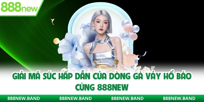Gà vảy hổ báo và sức hấp dấp của dòng chiến kê này tại 888new