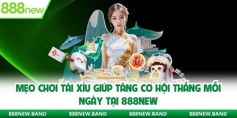 Mẹo chơi tài xỉu giúp tăng cơ hội thắng lớn tại 888new