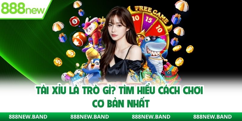 Tài xỉu là trò gì? Tìm hiểu cách chơi cơ bản nhất