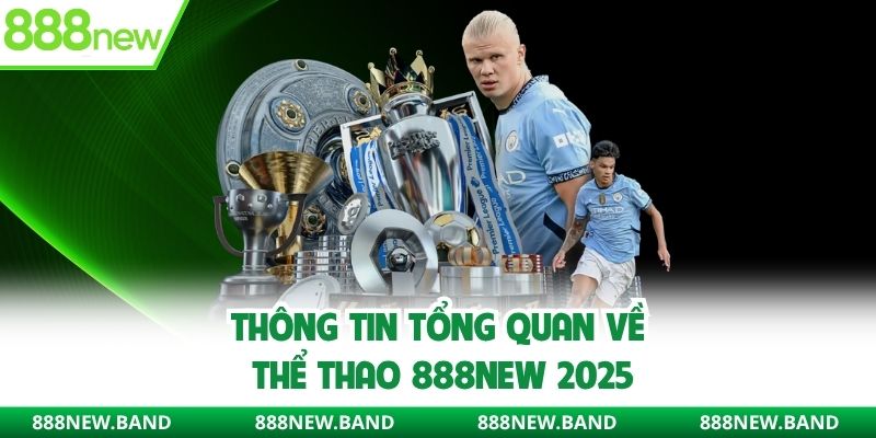 Thông tin tổng quan về sảnh thể thao 888new 2025