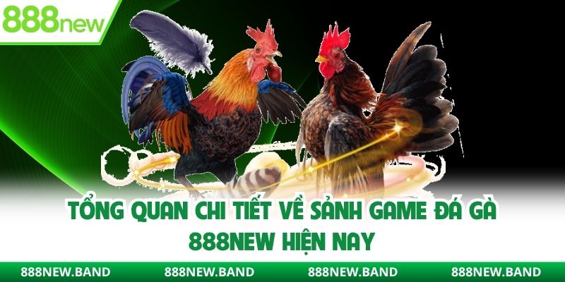 Tổng quan chi tiết về sảnh game đá gà 888new hiện nay