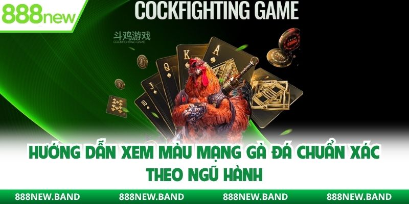Xem màu mạng gà đá theo ngũ hành cùng các sư kê 888new